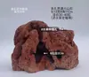 Paisagismo de Aquário Esconderijo de Pedra Vulcânica Ninho de Peixe Ninho de Criação de Camarão Ornamental Esconderijo para Desova Plantas Aquáticas Reais Jacinto D'água