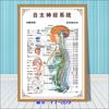 Diagrama esquemático del sistema anatómico visceral humano. Póster médico de pared con diagrama de la estructura del corazón y los órganos humanos.