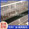 Fábrica de jaulas Gaocheng Yuting al por mayor todo tipo de jaulas para pollos jaulas para pollos jaulas para pollos jaulas para pollos escalonadas jaulas para pollos de alambre galvanizado