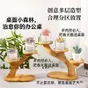 Creativo soporte de flores de escritorio con forma de árbol, soporte para plantas suculentas de escritorio de oficina, mini soporte para macetas para almacenamiento en escritorio