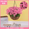 Plantas Colgantes Artificiales Colgantes de Pared Lirio Cesta Pequeña de Flores Flores Falsas Margarita Pequeña Flor de Gloria de la Mañana Rama Decoración del Hogar