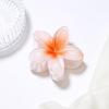 Clipe de Frangipani Transfronteiriço Europeu e Americano Clipe de Cabelo de Flor Bauhinia Acessórios de Cabelo de Flor Populares da Amazon Clipe Tubarão Pequeno e Fresco Feminino