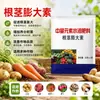 Agente Hinchante de Rizoma Fertilizante Foliar Agrícola Subterráneo Ajo Papa Camote Cacahuete Mostaza Encurtida Fruta Grande Fertilizante Soluble en Agua