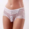 Ropa Interior Sexy para Hombre Boxer de Encaje Calzoncillos Sin Costuras Ultradelgados Malla Cintura Transpirable Set Jj Medias Sexy Pantalones Cortos