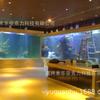 Acuario acrílico grande, directo de fábrica, paisaje ecológico, pecera.