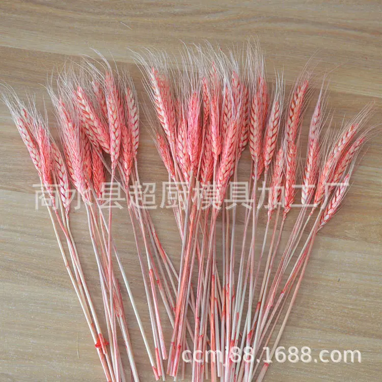 麦穗彩-(6)