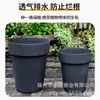 Maceta Personalizada Lobo Pastor Profunda y Alta Plástico Monstera Rosa Maceta para Patio Exterior Extra Grande Resina Maceta Horun