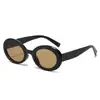 Nuevas Gafas de Sol Ovaladas Retro Europeas y Americanas Transfronterizas para Fotografía Callejera, Protección Solar, Senderismo al Aire Libre y Protección UV