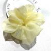 Organza de Cor Vibrante Grande Argola de Cabelo com Laço Grande Celebridade da Internet Coreana Nova Moda Acessórios de Cabelo de Aba Larga Europeus e Americanos
