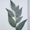 Venta al por mayor de fábrica hojas de simulación siete tenedores simulación serigrafía hoja primavera accesorios de flores decorativas hojas de eucalipto