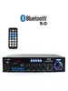Mini Amplificador de Potencia Tarjeta Plug-In Multifunción Bluetooth Amplificador de Potencia para Hogar Coche 12V 220V