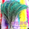 Pluma de Pavo Real Real Ojo Grande Altura entre 25-140 cm Para inserción en jarrón y decoración El precio es por tallo