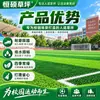 Césped Artificial Simulación Escolar Césped Verde de Jardín de Infantes Campo de Juegos Campus Campo de Fútbol Alfombra Deportiva Césped Artificial