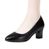 Piel suave suela suave modelo Qipao pasarela tacones altos mujer 2026 otoño nuevo tacón grueso azafata estar mucho tiempo sin cansarse zapatos de trabajo