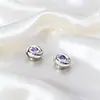 Pinzas para Oreja sin Perforación de Circonita Mobius para Hombres, Diseño Magnético de Nicho, Lujo Ligero, Pendientes de Moda de Gama Alta para Mujeres