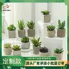 Nueva Planta Suculenta Artificial en Maceta Accesorios para Disparos Decoración del Hogar Flor Falsa Bonsái Planta Verde Artificial Dropshipping