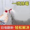 Extractor Shifan Agente Removedor de Moho de Pared Blanco Azulejo de Pared Lechada Eliminador de Moho Spray Limpiador Removedor de Moho de Pared