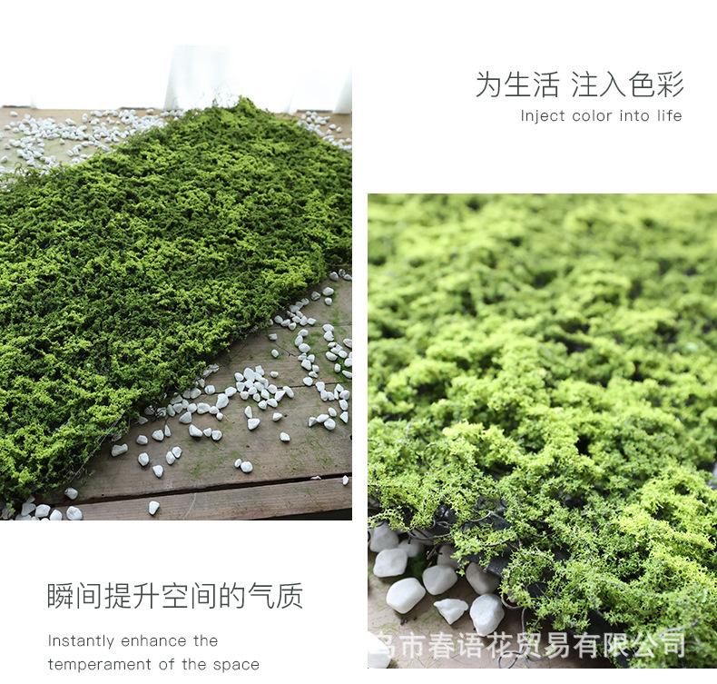 青丝草皮苔藓_08.jpg