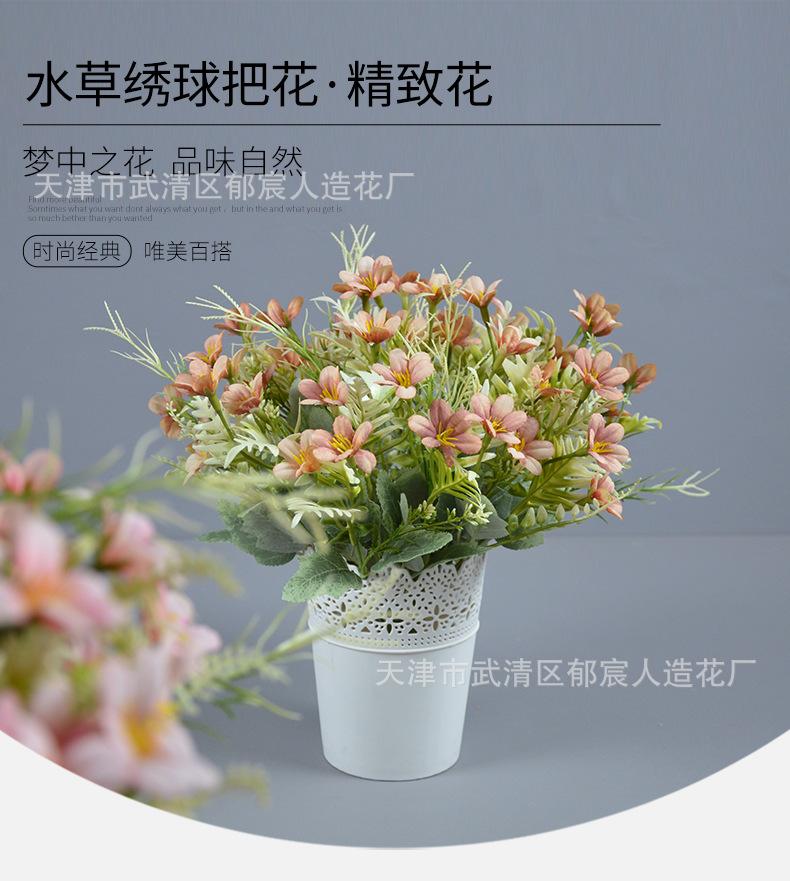 详情_05.png