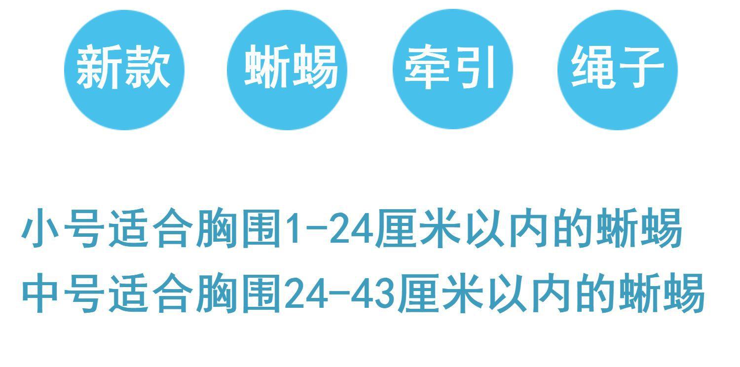 O1CN01TLW1iA1SqWiPn5yAx_!!2160