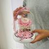 Producto Terminado de Flor Preservada Cúpula de Cristal Caja de Regalo Austin 520 Regalo del Día de San Valentín Chino Adorno Austin Rosas Más Vendidas