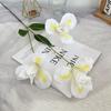 3 Alice Íris Simulação 3 Íris Cerimônia de Casamento Teto Flor Artística Fileira de Flores Macias Estrada Liderança Alta