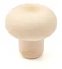 Tapones de Botella de Barra en T para Vino Tinto Pueden Exportarse, Fabricante Mayorista de Tapones para Botellas de Perfume Tapones Monómero Polimérico Tipo T