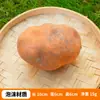 Modelo de patata de simulación fruta falsa verdura espuma comida niños cognitivo educación temprana accesorios ventana decoraciones de restaurante