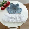 Saias para Pets, Roupas Novas, Saias de Cowboy Texano Fofas e Modernas, Roupas para Cães e Gatos Pequenos, Atacado de Fábrica