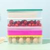 Caja de helado colorida Caja para refrigerador estilo japonés Caja para fideos frescos a prueba de humedad Grado alimenticio pp Caja de almacenamiento con orificio para colgar