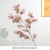 Plantas Verdes Artificiais Tendência com Pintura em Spray Gradiente Multicolorido, Versátil para Decorações de Cerimônia de Casamento, Materiais Florais Atacado