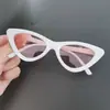 Gafas de Sol Triangulares Ojo de Gato Retro Color de Moda 2024 Celebridad de Internet Sombrilla Personalizada Europea y Americana Gafas de Sol para Mujer