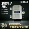 Motor Síncrono de Engrenagem de Alta Precisão Equipamento Hidráulico Fm 2-2-40 L Motor de Engrenagem de Média e Baixa Velocidade Válvula Hidráulica