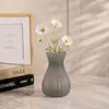 Vaso de plástico com bordas onduladas semitransparentes e linhas verticais, toque criativo nórdico de luxo leve e de alta qualidade, adequado para decoração de arranjo de flores hidropônicas na sala de estar