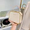 Bolsa de nicho feminina 2024 nova cor de doce bolsa de mão moldando celular bolsa feminina corrente ombro bolsa mensageiro bolsas