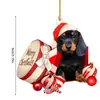 Ornamentos de Árvore de Natal em Acrílico Dachshund e Natal Ornamentos de Cachorro Salsicha Artesanato de Cachorro Decoração de Cachorro para Casa Festa de Inverno