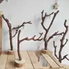 Adornos de Rama de Árbol de Tronco con Base, Estantería, Mesa de Café de Sala de Estar, Joyería Natural Hecha a Mano, Shishihua