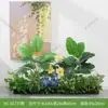 Combinación de paisajismo con plantas verdes artificiales, jardineras, maceteros, decoraciones de flores artificiales, decoración de paisaje con plantas artificiales para escaparates de centros comerciales, interior y exterior