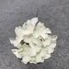 Ramo de Hortensias Artificiales Tallo Único Hortensia de Cinco Cabezas Fotografía de Bodas Hortensia Macaron