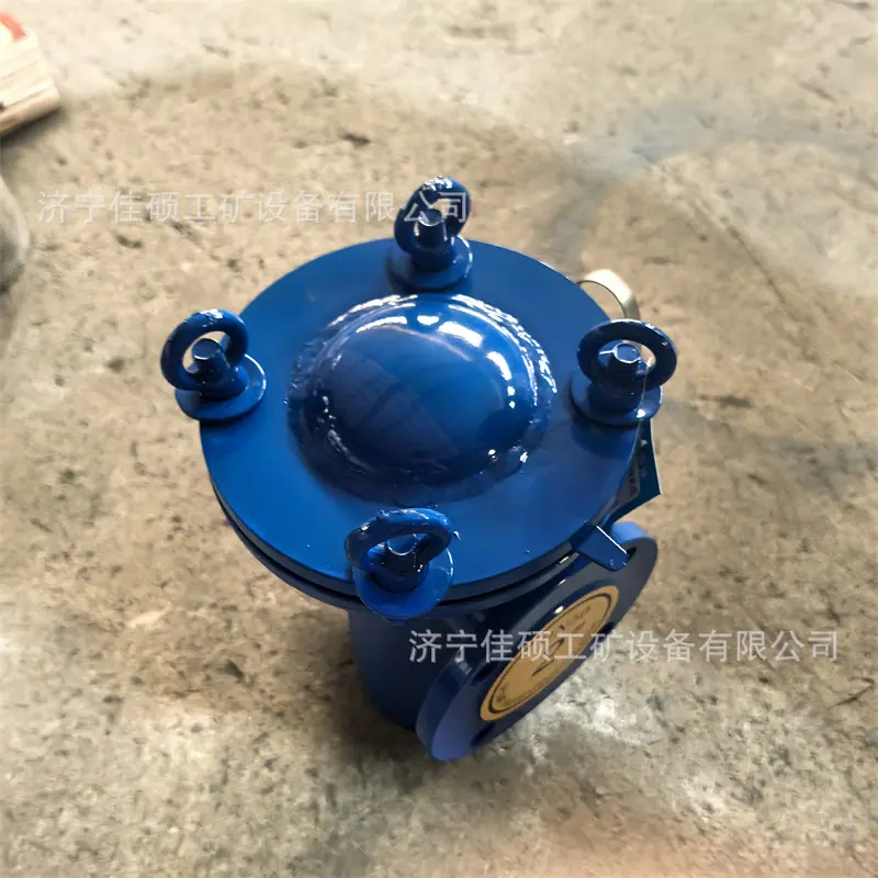篮式过滤器 (11)