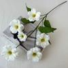 Mariposa de la Selva Flor de Simulación Flor Falsa Phalaenopsis Decoración para el Hogar Boda Flor Artificial Flor Falsa al por Mayor