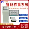 1 Par 6 Balanzas Digitales con Luz de Alarma Control Integrado PLC Almacenamiento de Datos Sistema de Pesaje con Acoplamiento a Computadora Host