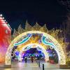 Lámpara LED de Modelado para Exterior Impermeable Cuadrada Parque Corredor Escénico Túnel del Tiempo Iluminación Paisajística Hermosa Lámpara de Arco