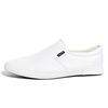 Zapatos de Lona para Hombre Verano 2025, Transpirables, Frescos, Casuales y Cómodos Zapatos de Malla, Tenis, Zapatos Ligeros para Hombre