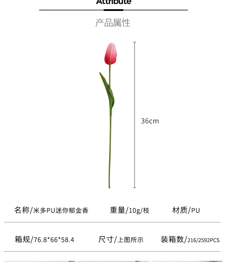 PU单片尖角郁金-香_05.jpg