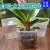 Macetas Transparentes para Plantas en Maceta, Plantas Verdes, Ventana Cuadrada de Observación, Plantas de Balcón y Alféizar, Cultivo de Flores, Venta al por Menor y al por Mayor
