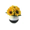Vaso de Flor Preguiçoso para Mesa de Escritório com 5 Gérberas, Vaso de Flor Artificial de Plástico para Casa, Planta em Vaso Jiboia Orquídea