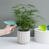 Dispositivo de Riego de Flores Personalizado, Embudo Creativo con Forma de Hoja para Regar Plantas, Dispositivo de Riego para Riego de Plantas