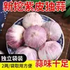 Produto novo deste ano alho desidratado de cabeça única alho fresco de casca roxa cabeça de alho única cabeça de alho alho desidratado preço especial saco de vegetais da fazenda 100g