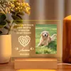 Luz de Noche Acrílica de Madera de Venta Caliente Transfronteriza Creativa Memorial para Mascotas Etsy Luz Personalizada con Foto de Animal Creativa